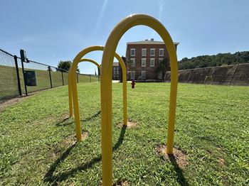 Pet park